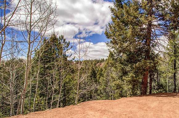 1.1 Acres of Residential Land for Sale in Divide, Colorado