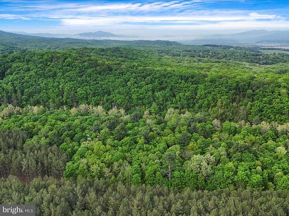 25.2 Acres of Recreational Land for Sale in Moorefield, West Virginia