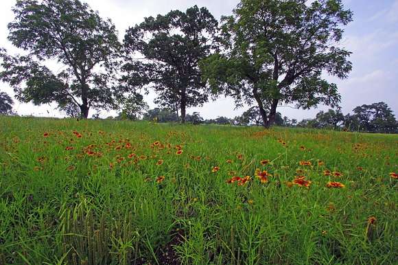 5 Acres of Residential Land for Sale in Georgetown, Texas