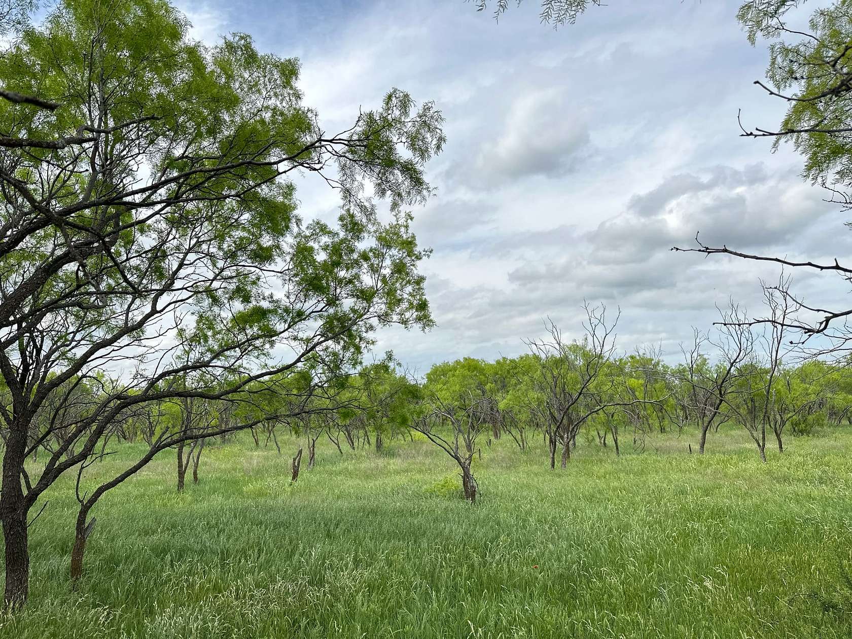 79 Acres of Recreational Land & Farm for Sale in Abilene, Texas