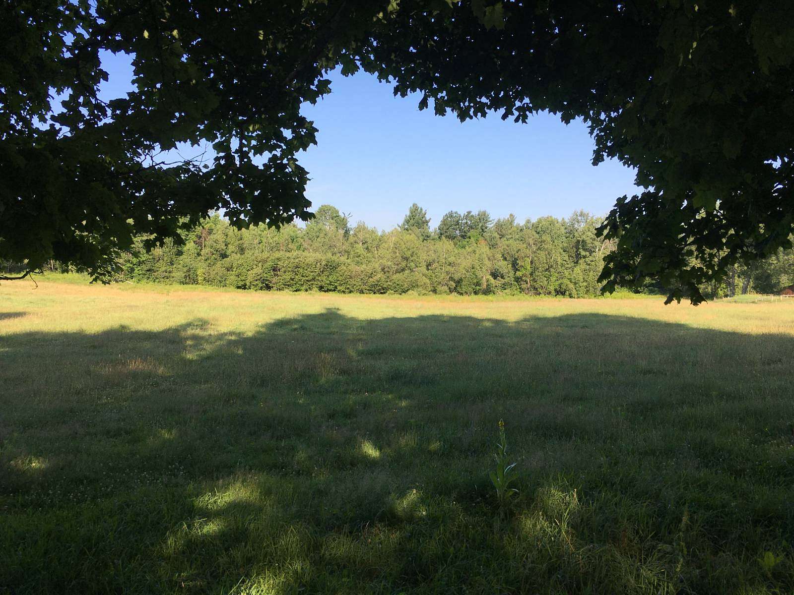 8 Acres of Residential Land for Sale in Russell, New York