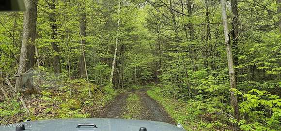 6 Acres of Land for Sale in Blenheim Town, New York