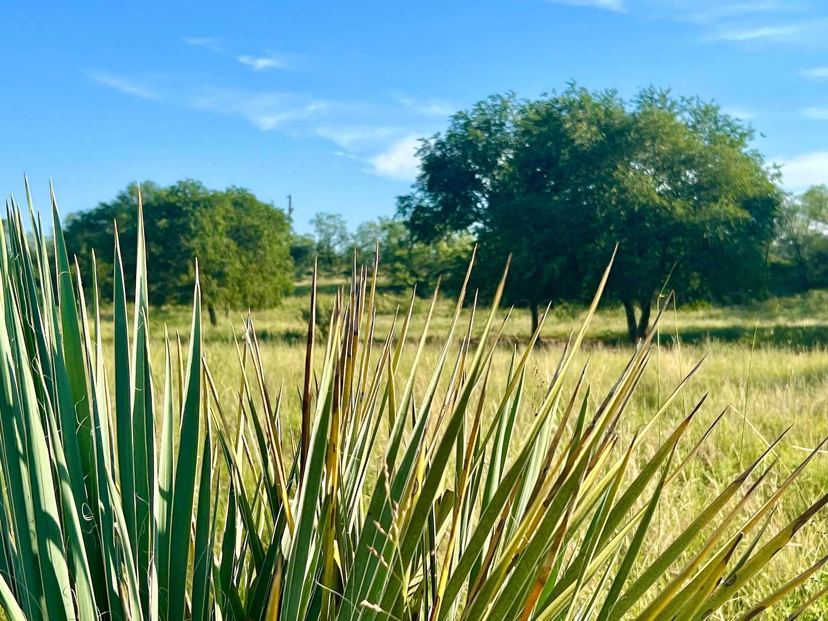 1,402 Acres of Land for Sale in Turkey, Texas