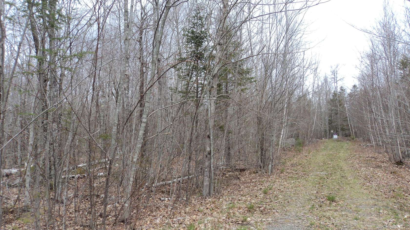 41.8 Acres of Land for Sale in Dedham, Maine