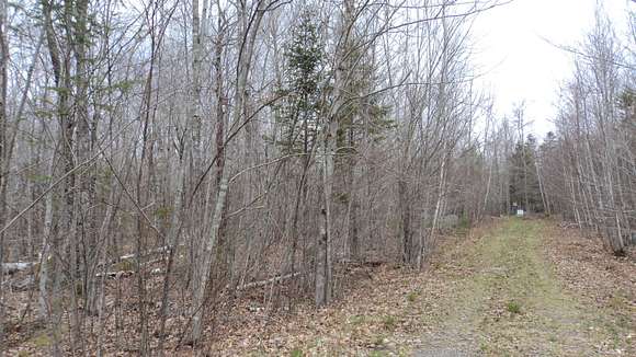 41.8 Acres of Land for Sale in Dedham, Maine