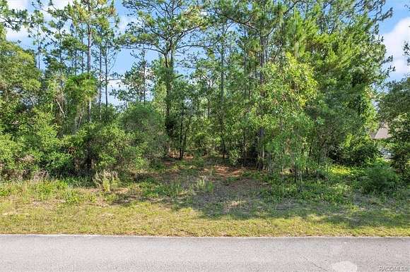 0.96 Acres of Land for Sale in Hernando, Florida
