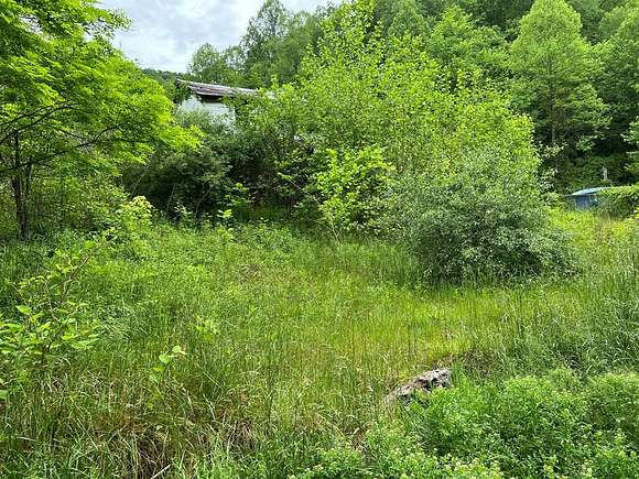 0.12 Acres of Residential Land for Sale in Pinsonfork, Kentucky