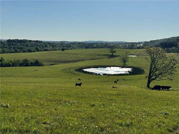 340 Acres of Land for Sale in Huntsville, Arkansas