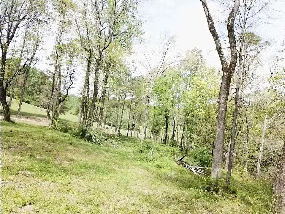 Land for Sale in Jasper, Alabama