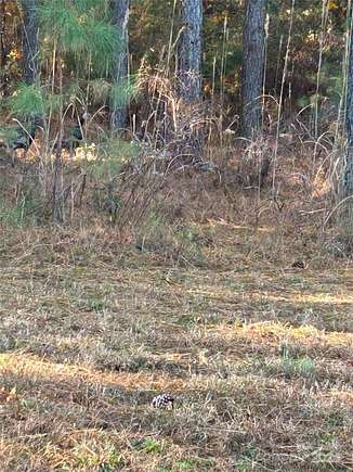 1.15 Acres of Residential Land for Sale in Mooresboro, North Carolina