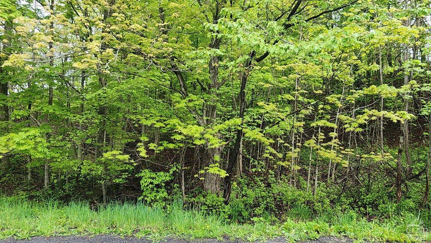 3.52 Acres of Land for Sale in Durham, New York