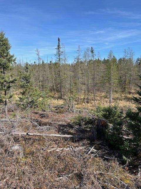 20 Acres of Land for Sale in Newberry, Michigan