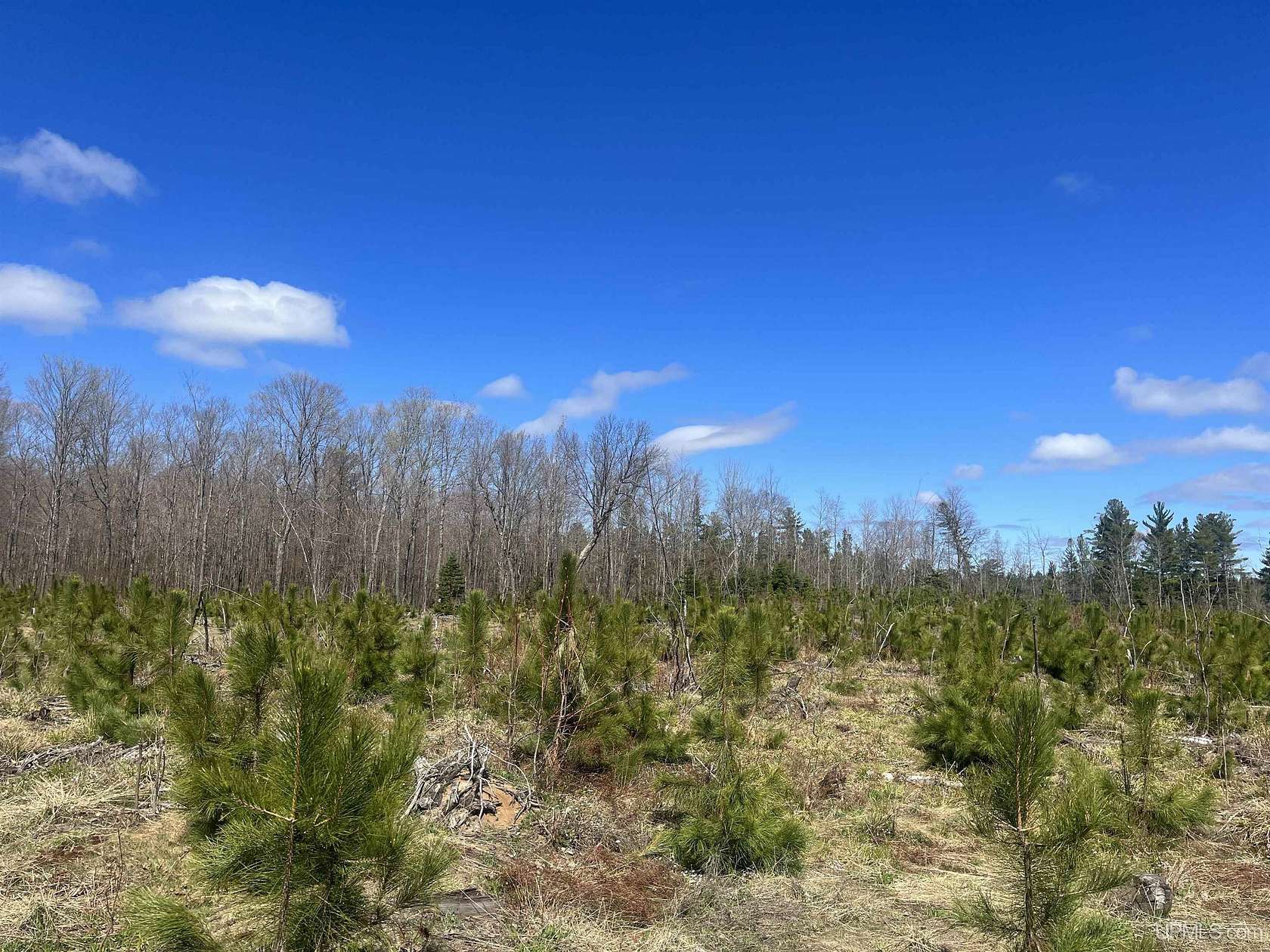40 Acres of Land for Sale in Michigamme, Michigan