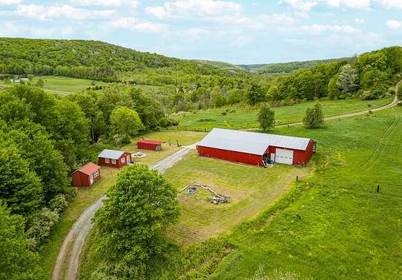 41.9 Acres of Agricultural Land for Sale in Pine City, New York