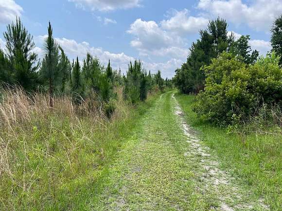36 Acres of Land for Sale in Baxley, Georgia
