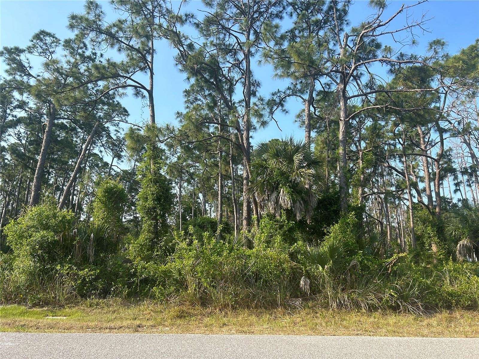 0.23 Acres of Residential Land for Sale in Port Charlotte, Florida