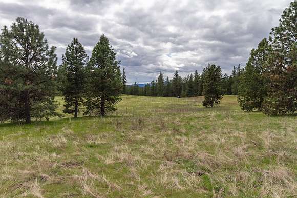 20.6 Acres of Recreational Land for Sale in Colville, Washington