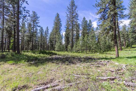 20 Acres of Recreational Land for Sale in Colville, Washington
