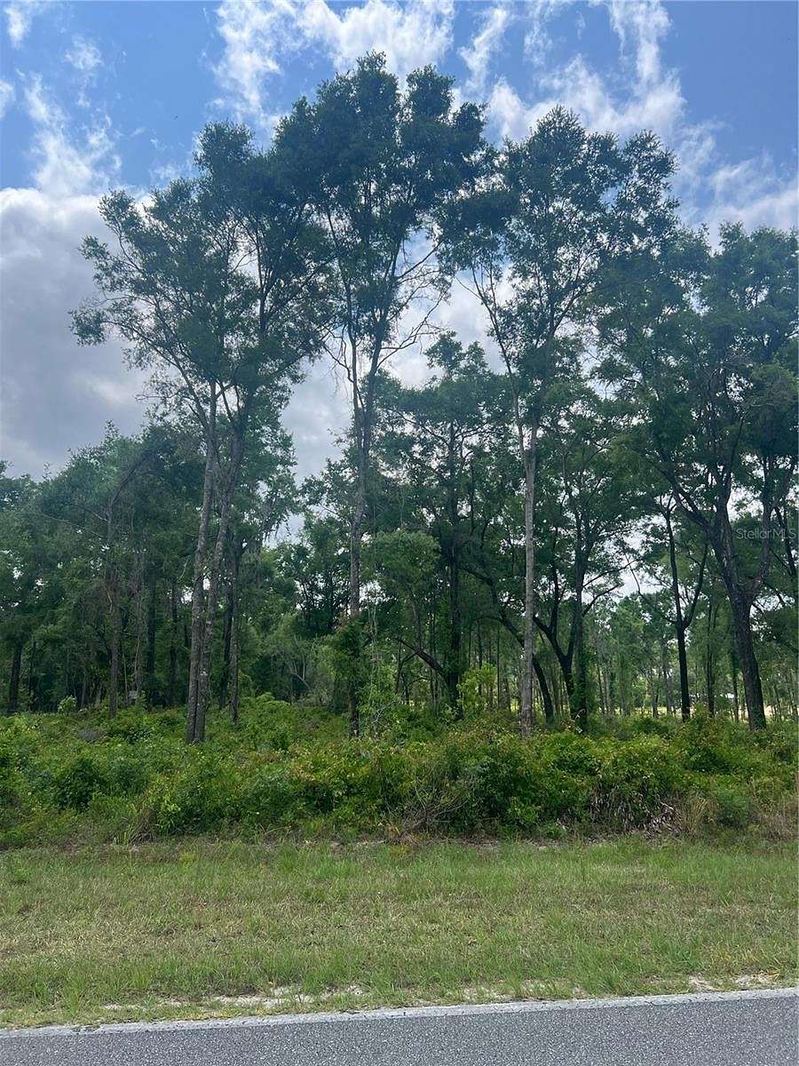 10 Acres of Land for Sale in Lake City, Florida