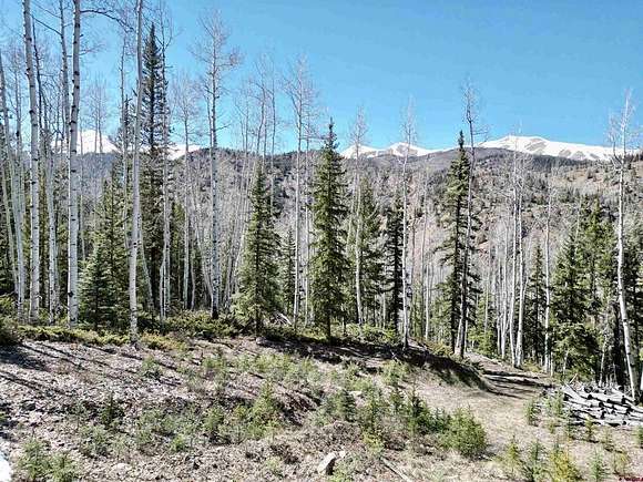 3.9 Acres of Residential Land for Sale in Lake City, Colorado
