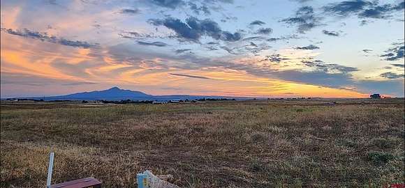 35.8 Acres of Land for Sale in Dolores, Colorado
