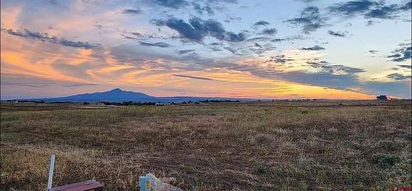 35.8 Acres of Land for Sale in Dolores, Colorado