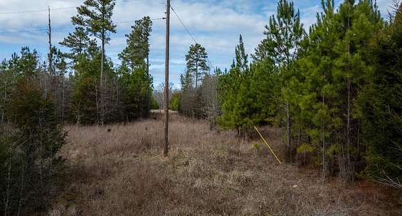 6.2 Acres of Residential Land for Sale in Calhoun Falls, South Carolina