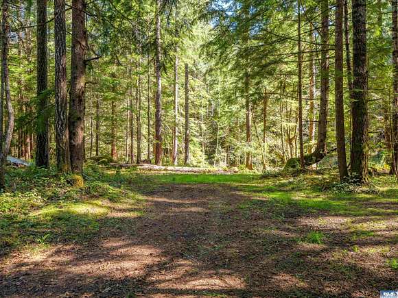 4.8 Acres of Residential Land for Sale in Port Angeles, Washington