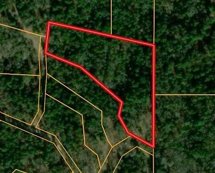 4.546 Acres of Land for Sale in Montalba, Texas