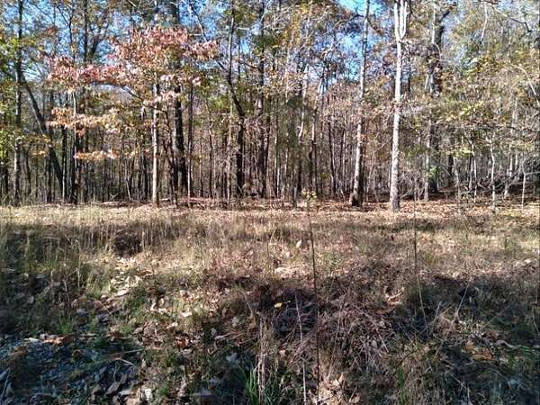0.49 Acres of Residential Land for Sale in Waverly Hall, Georgia