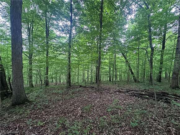 31.2 Acres of Land for Sale in McConnelsville, Ohio