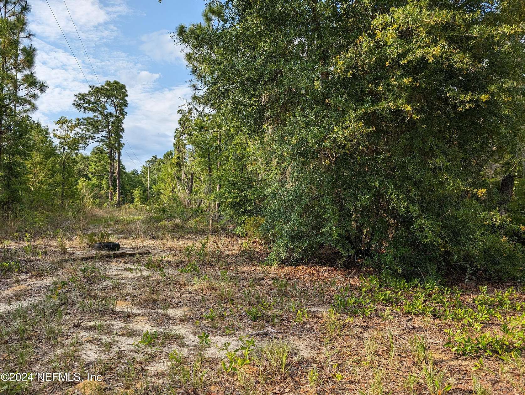 2.3 Acres of Land for Sale in Hawthorne, Florida