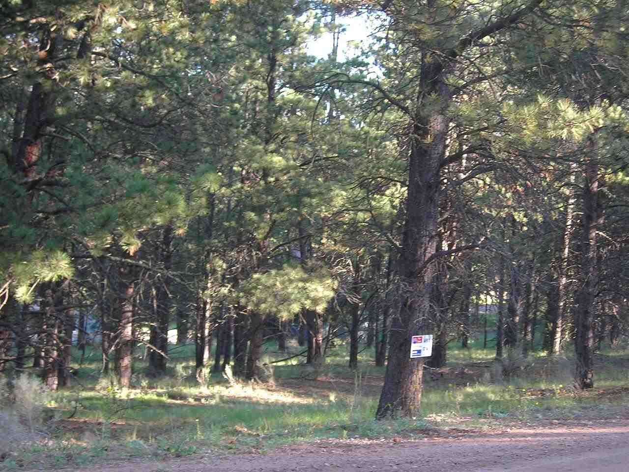 0.51 Acres of Residential Land for Sale in Angel Fire, New Mexico