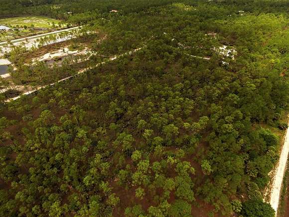 10.5 Acres of Land for Sale in Fellsmere, Florida