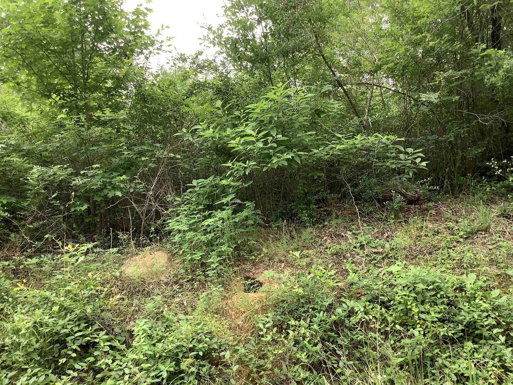 7 Acres of Residential Land for Sale in Jasper, Texas