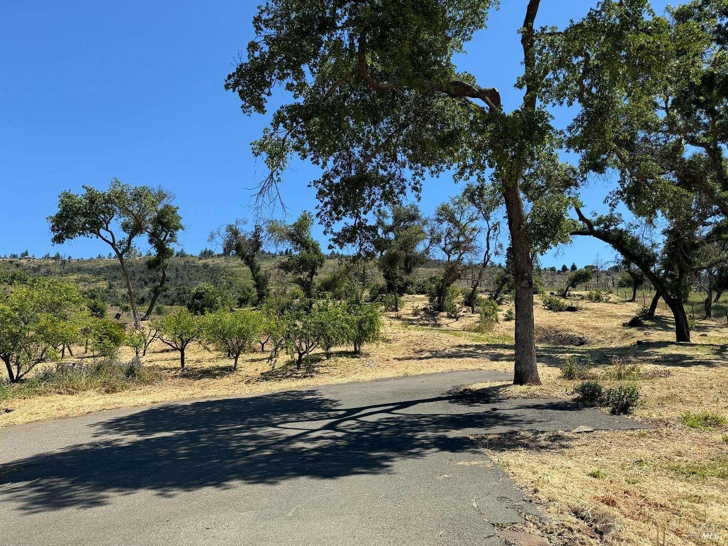 2.5 Acres of Residential Land for Sale in St. Helena, California