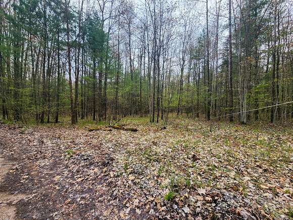 0.17 Acres of Residential Land for Sale in Topinabee, Michigan