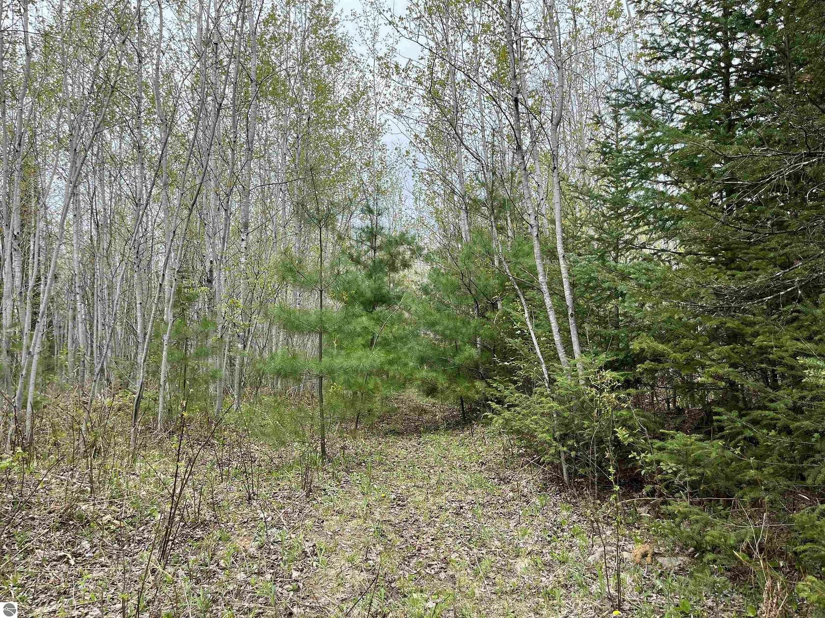 10 Acres of Recreational Land for Sale in Fife Lake, Michigan