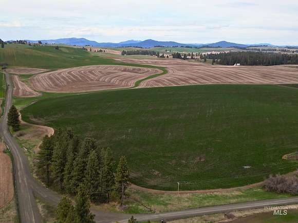 20 Acres of Agricultural Land for Sale in Kendrick, Idaho