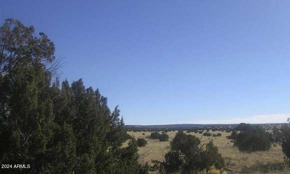 5 Acres of Residential Land for Sale in Heber, Arizona