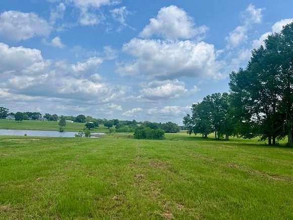 12.7 Acres of Land for Sale in Franklinton, Louisiana