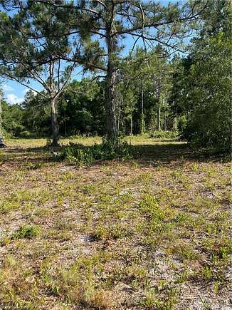 1 Acre of Mixed-Use Land for Sale in Lorida, Florida