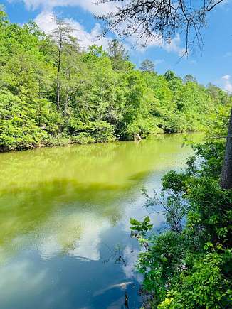 20 Acres of Recreational Land for Sale in Arley, Alabama