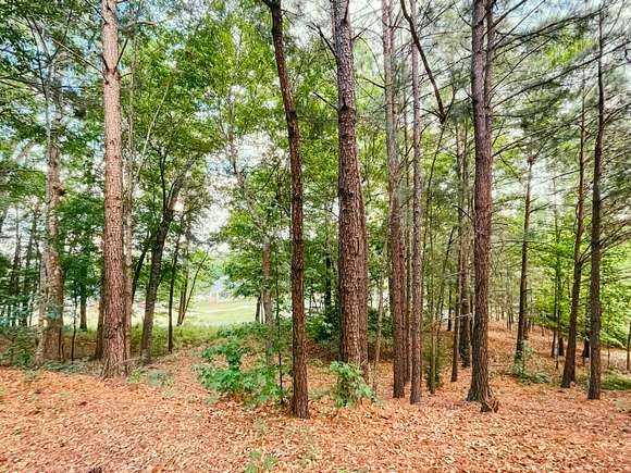 0.82 Acres of Land for Sale in Aiken, South Carolina