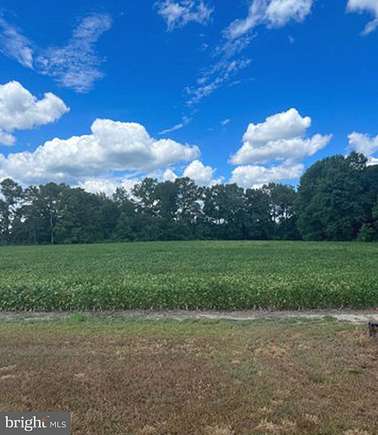 5 Acres of Residential Land for Sale in Snow Hill, Maryland