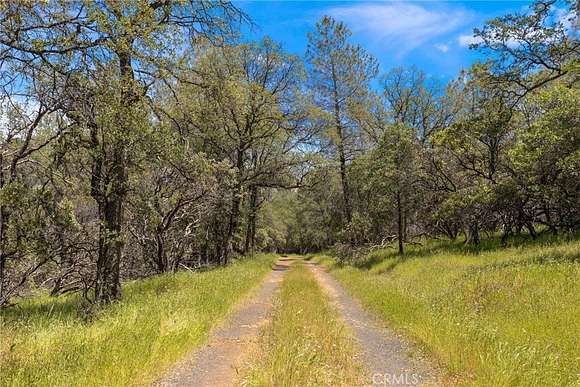 29.48 Acres of Land for Sale in Cherokee, California