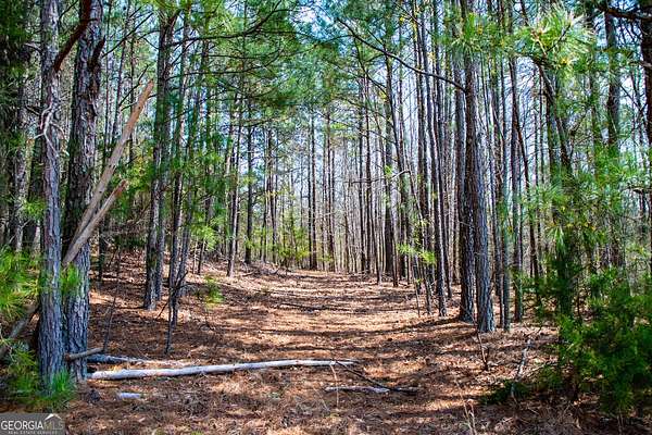 24.9 Acres of Land for Sale in Villa Rica, Georgia