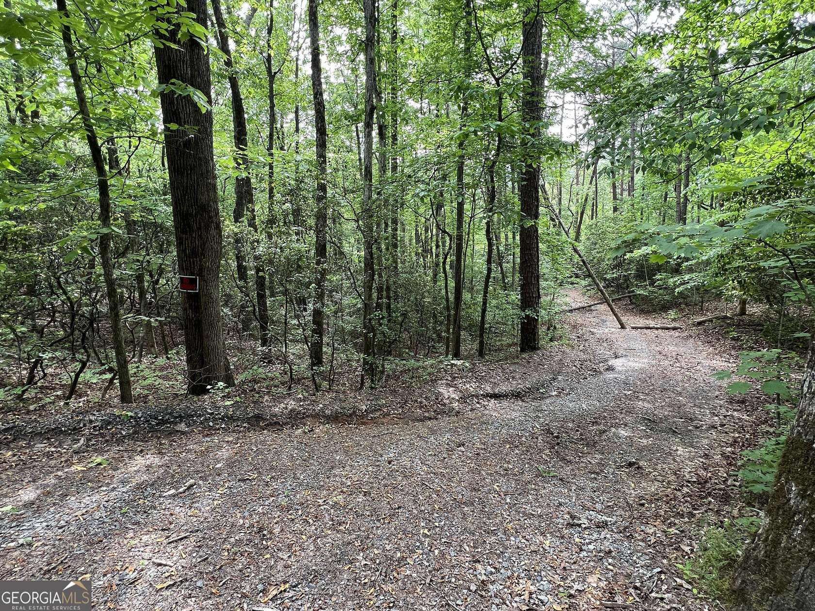 0.91 Acres of Residential Land for Sale in Cleveland, Georgia