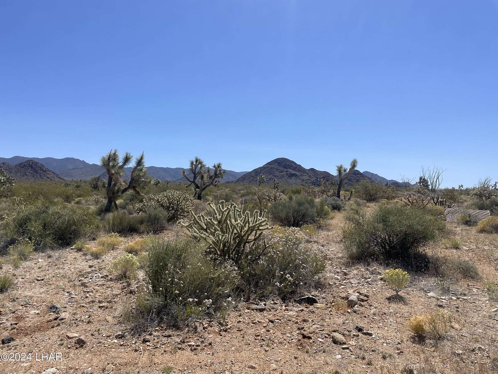 2.9 Acres of Mixed-Use Land for Sale in Yucca, Arizona