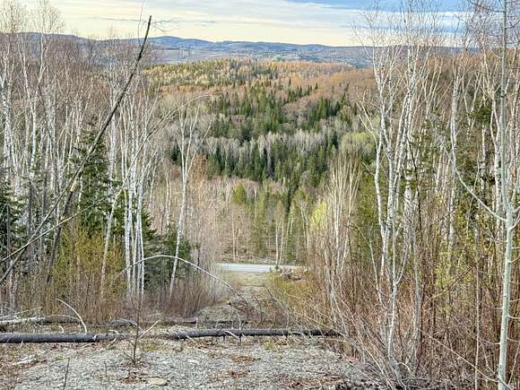 28.5 Acres of Recreational Land for Sale in Madawaska, Maine